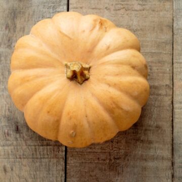 Squash, Butterkin | Pfenning's Ontario Organic