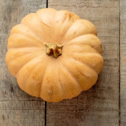 Squash, Butterkin | Pfenning's Ontario Organic