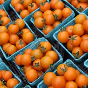 Tomatoes, Orange & Red Cherry | Pfenning's Ontario Organic