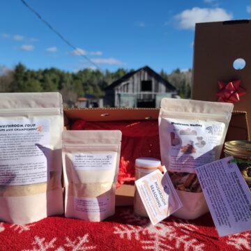 Mushroom Gift Box....gift wrapped in a mushroom box!
