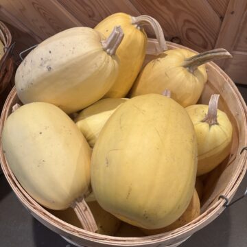 Spaghetti Squash | Ferme la Binette