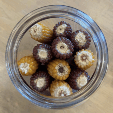 POPCORN COB / MICROWAVE POPCORN