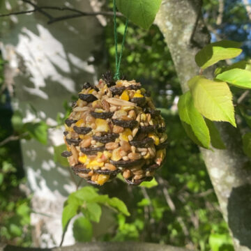 Bird Feeder Fat Ball