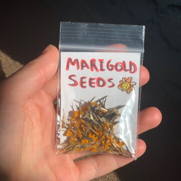Marigold Seeds