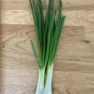 Green Onions | Sweetwater Farmstead