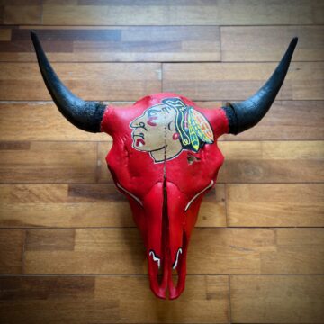 Custom Authentic Bison Skull *Pre-Order