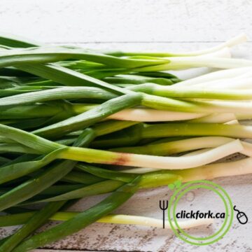 Green Garlic | Pfenning's Ontario Organic - 1 BUNCH