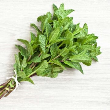 Fresh Organic Mint, 30 g | Sweetwater FS