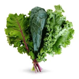 Mixed Kale (Red Russian, Black, Winterbore) | Sweetwater Regenerative Farmstead