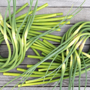 Garlic Scapes | Sweetwater RF