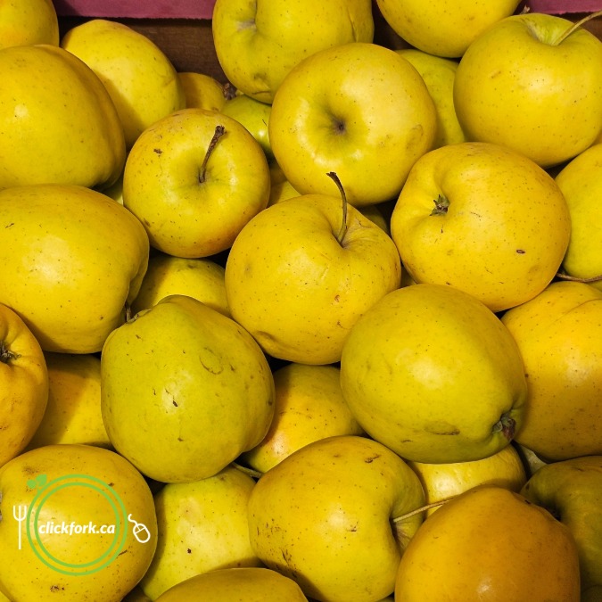 Apples, Gingergold | Pfenning's Organic